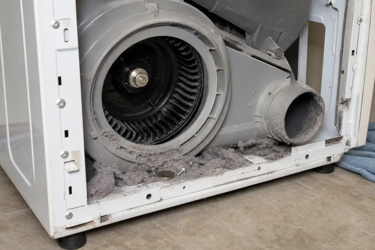 Dryer blower housing checked for lint and rattling debris on a noisy front-load dryer