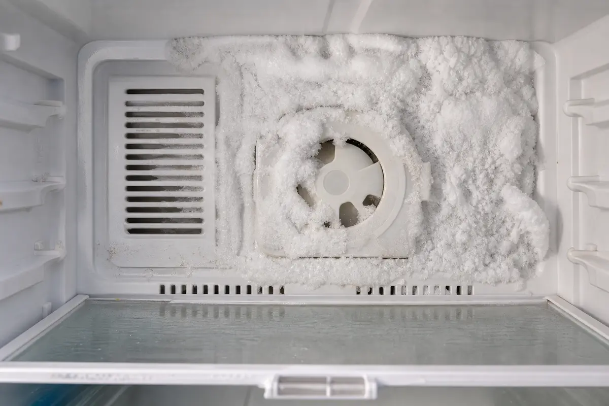 Frost buildup on a refrigerator freezer back panel during refrigerator making noise diagnosis