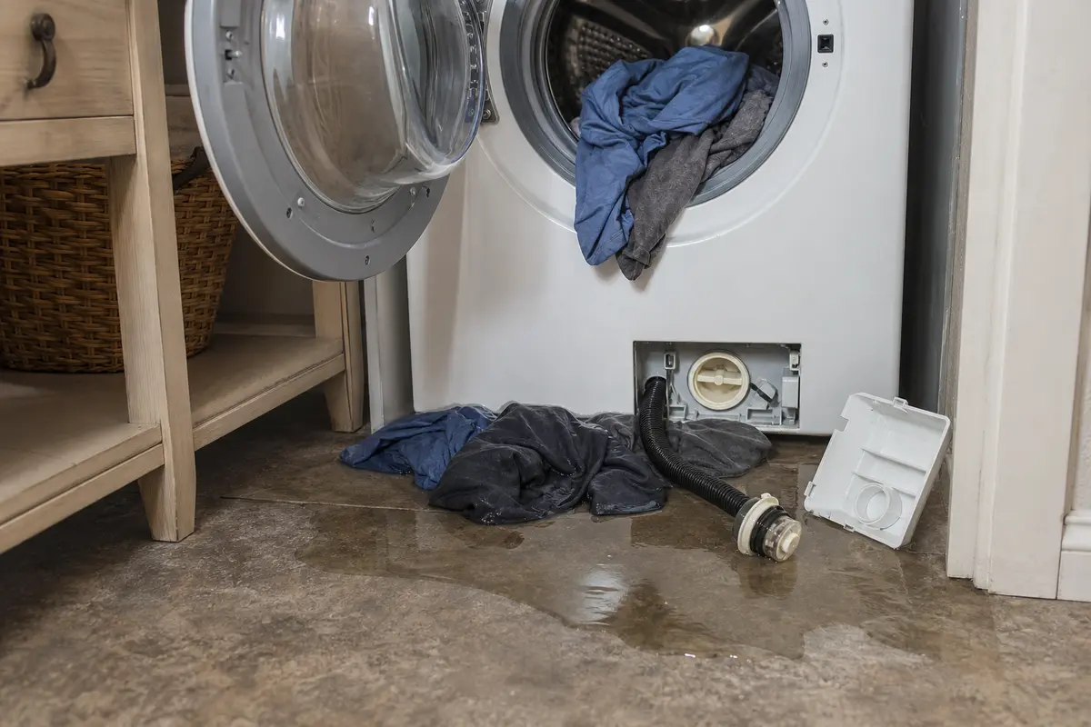 Front-load washer with standing water and wet clothes after the cycle failed to drain