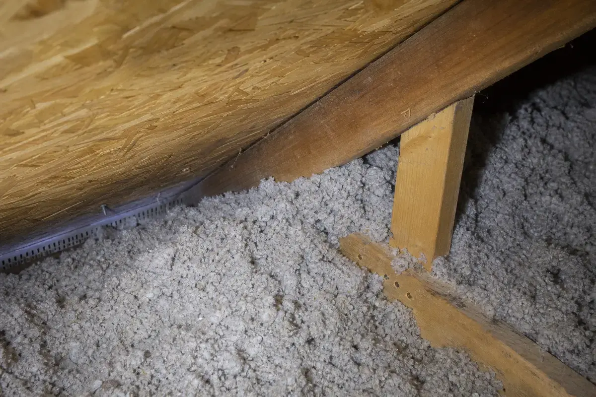 Insulation blocking soffit intake below a damp attic ridge area