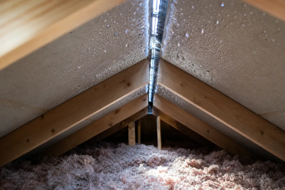Condensation beads on attic roof sheathing near the ridge vent