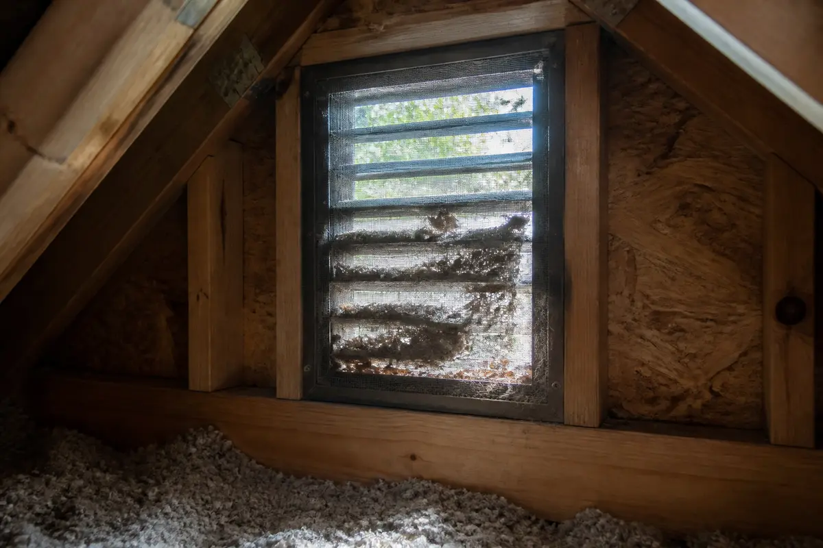 Attic vent cover checked for obstruction during ventilation diagnosis