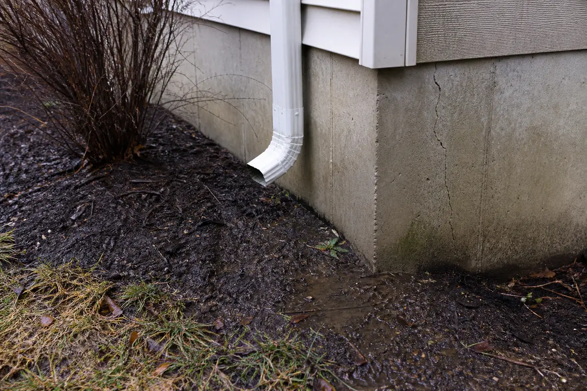 Downspout and wet soil beside a foundation aligned with a basement wall crack