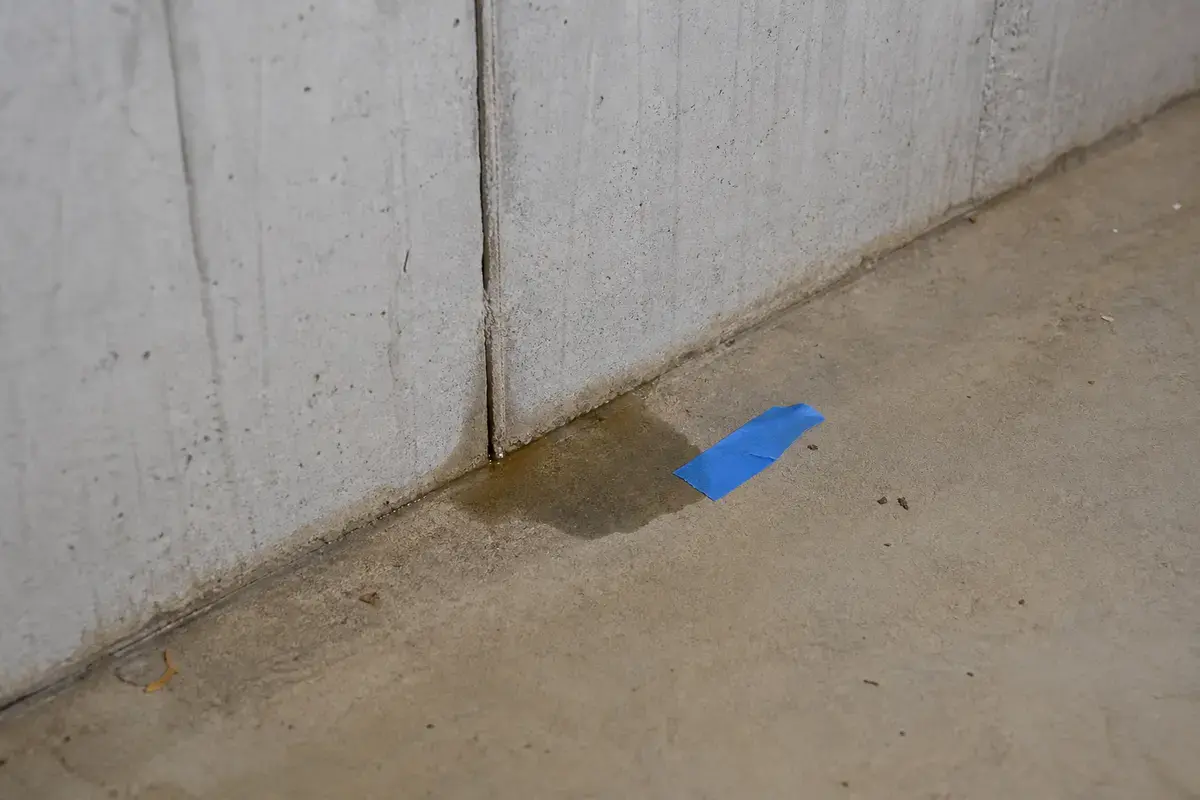 Small puddle starting at a basement wall-floor cove joint