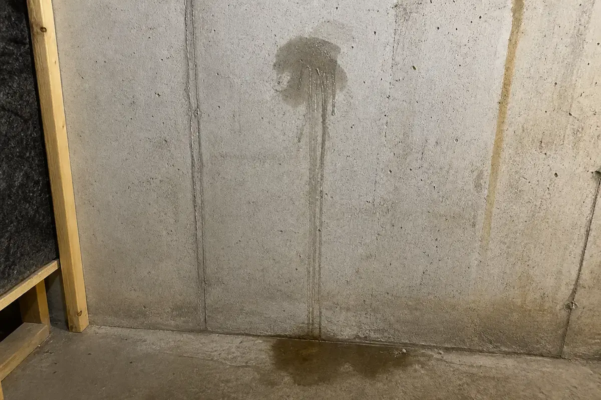 Wet path on a basement foundation wall leading to a floor puddle