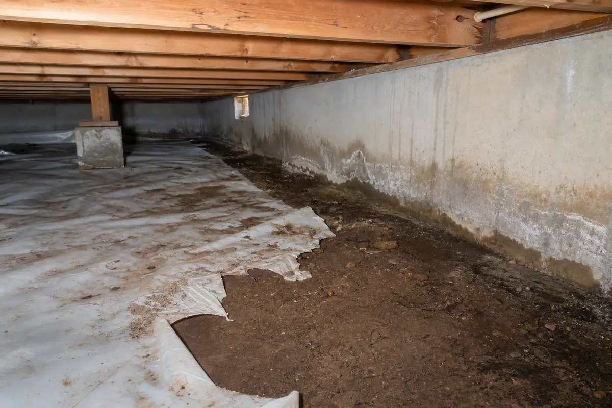 Crawlspace with torn vapor barrier, damp exposed soil, foundation edge moisture, and wood framing overhead