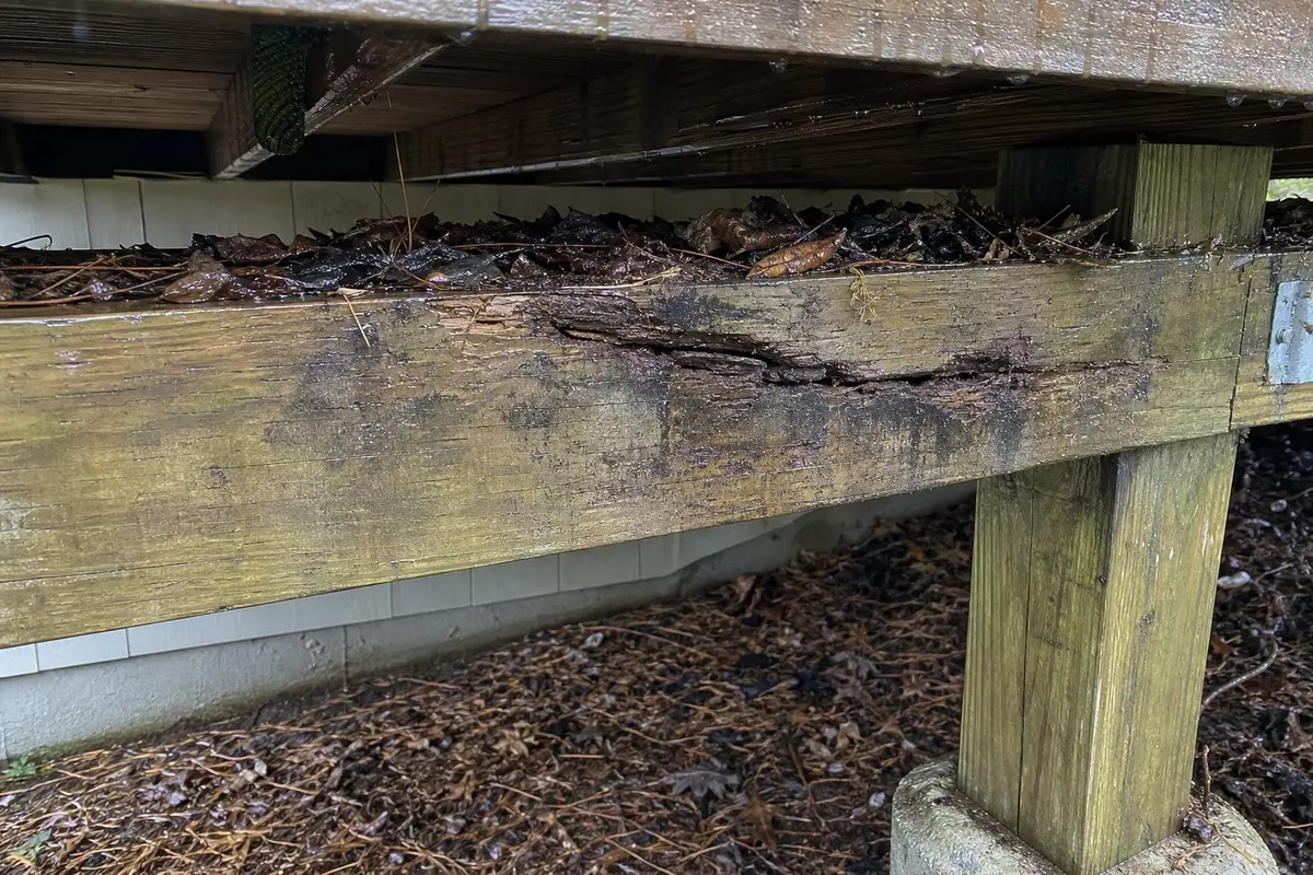 Moisture and debris around a cracked deck beam showing rot risk