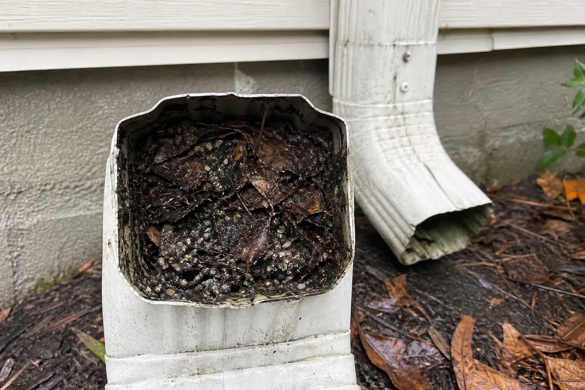 Downspout extension opening with packed debris that can back water up into the elbow