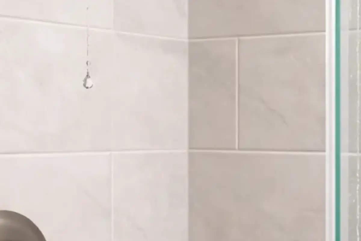 Shower trim plate gasket for shower leaking
