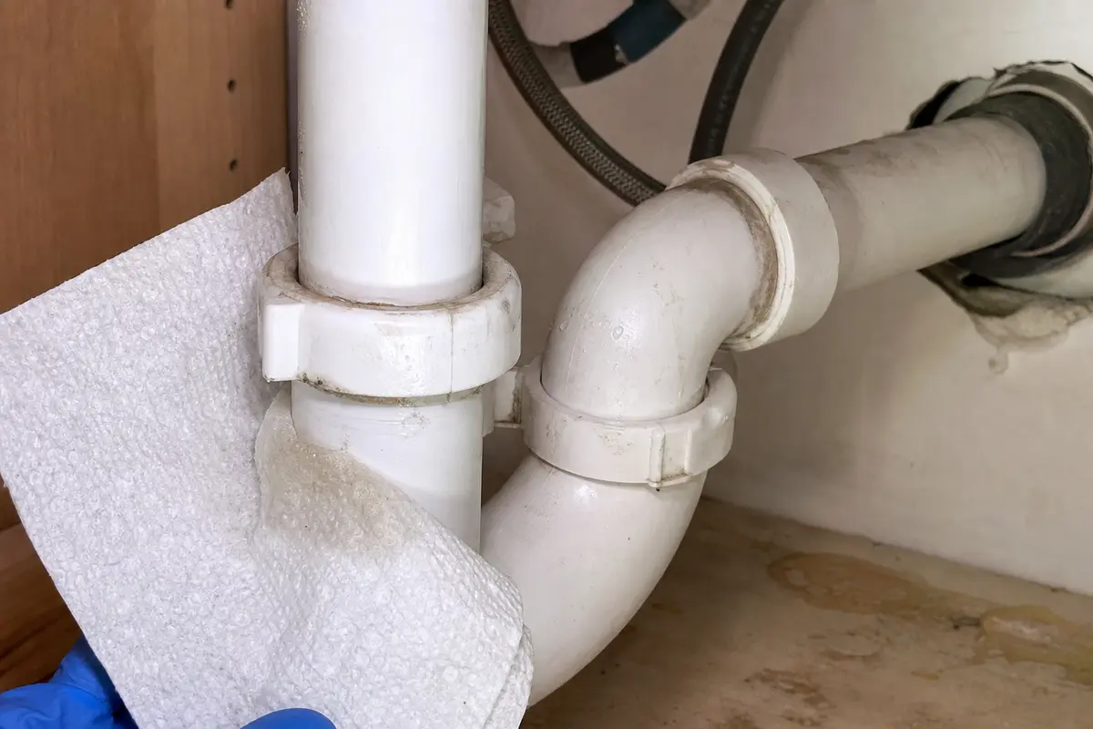 Kitchen sink P-trap slip joint checked with paper towel for seepage and odor
