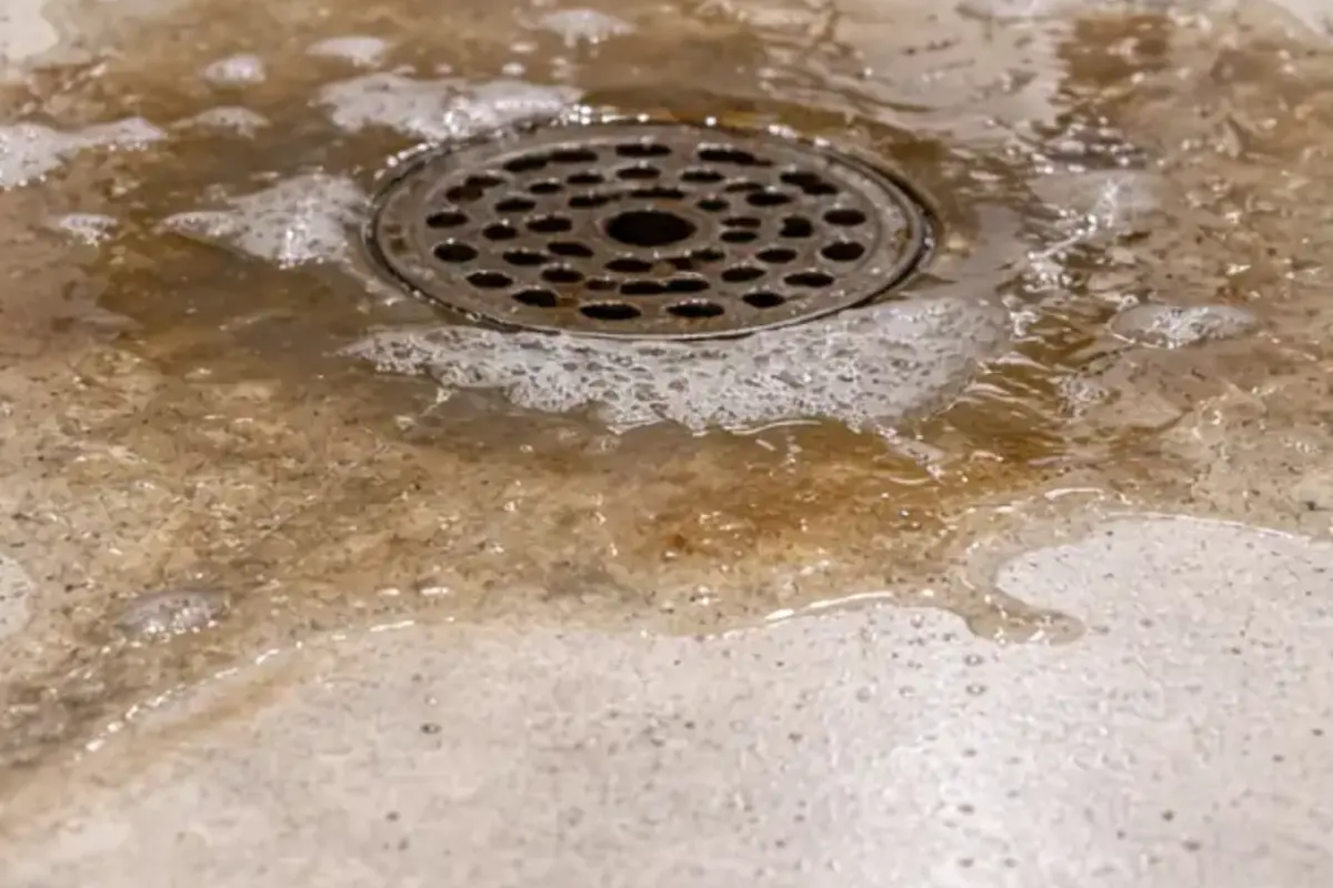 Close view of dirty water pooled at a basement floor drain grate during a sewer backup