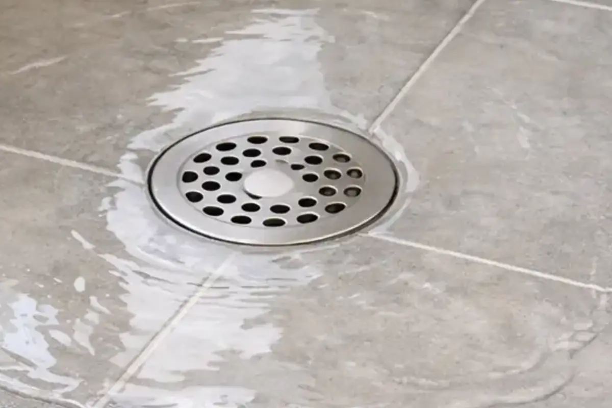 Shower drain cover close-up with standing water around the grate
