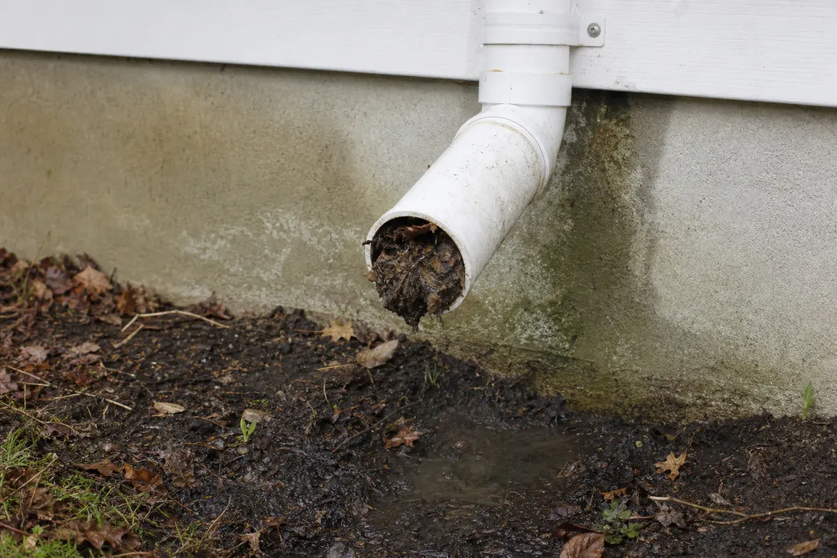 Sump pump discharge pipe outlet packed with wet leaves and mud outside the house