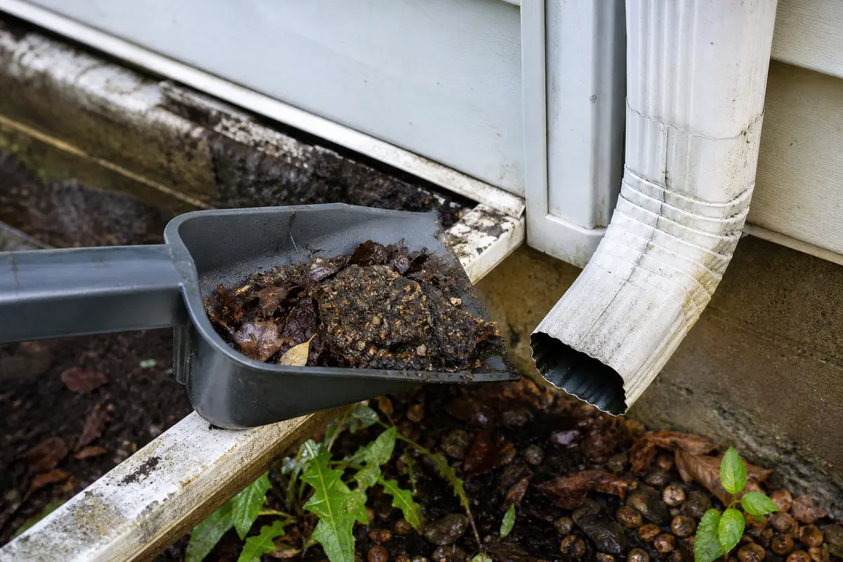 Gutter scoop or small plastic trowel for clearing leaves before they reach a downspout elbow