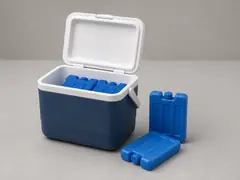 Cooler with ice packs tool