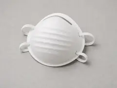 N95 or similar dust mask tool