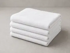 Wet/dry cloths or towels tool